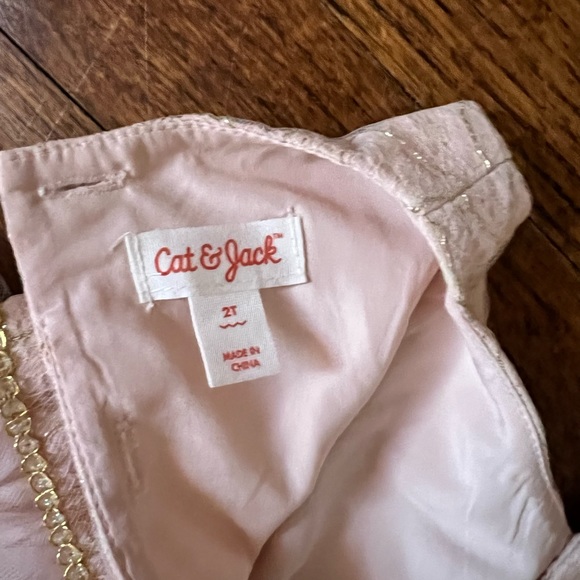 Tule and lace pink dress - Picture 4 of 4